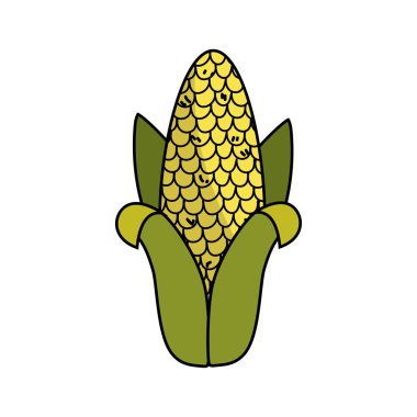 Organik gıda vektör çizim yemek için lezzetli koçanı