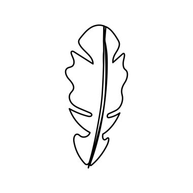 line beautiful leaf of the exotic plants in the forest, vector illustration