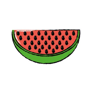 delicios slice watermelon fruit food vector illustration