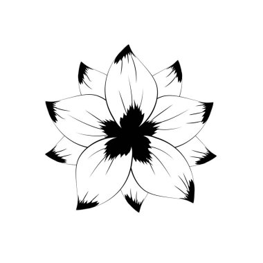 satır rustik çiçek doğal yaprakları vektör çizim ile