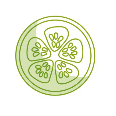 silhouette fresh slice of cucumber organ vegetable, vector illustration