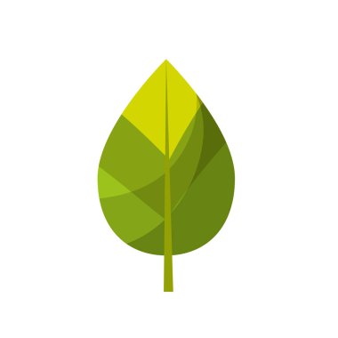 doğal yaprak botanik tropikal bitki vektör şekil