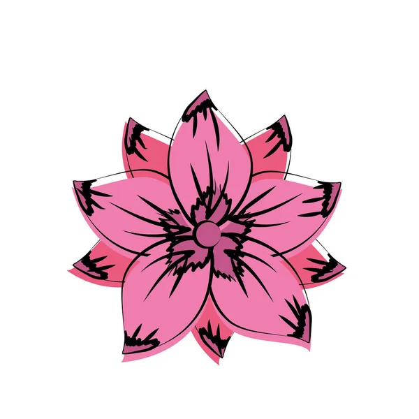 rustic flower with natural petals vector illustration