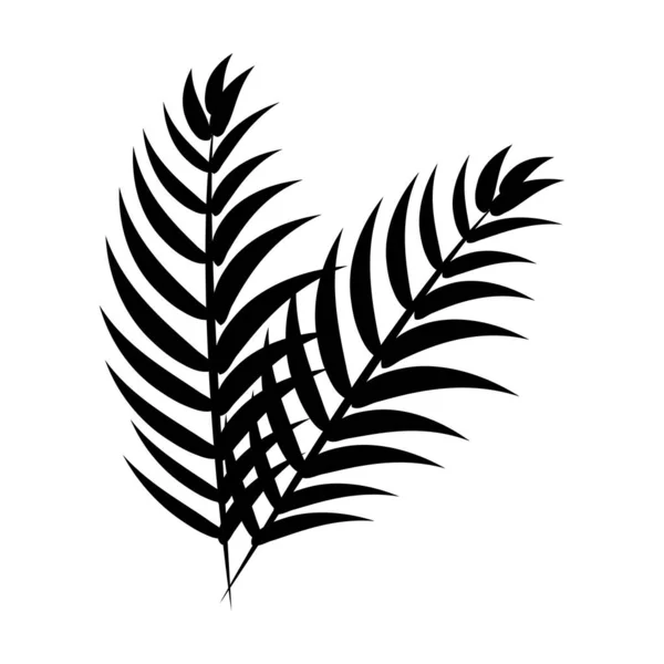 Контур Тропических Ветвей Листья Растения Векторная Иллюстрация Дизайн — стоковый вектор