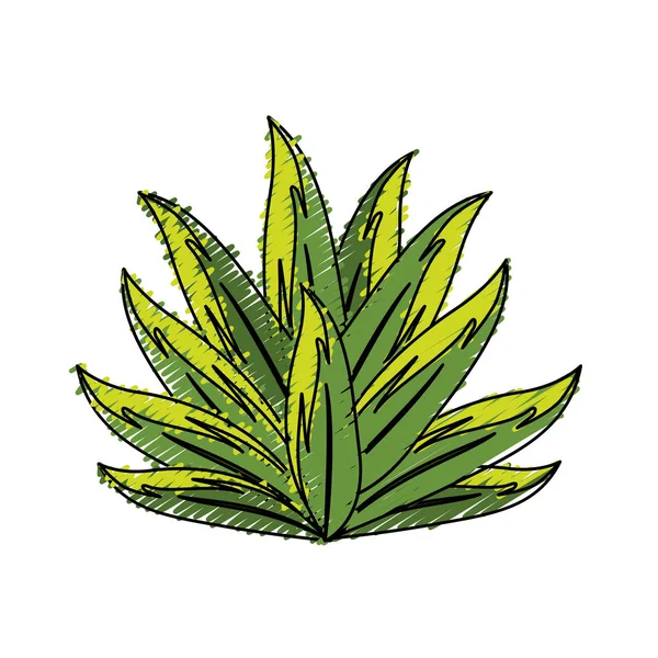Beautiful Leaf Exotic Plants Forest Vector Illustration — Stock vektor