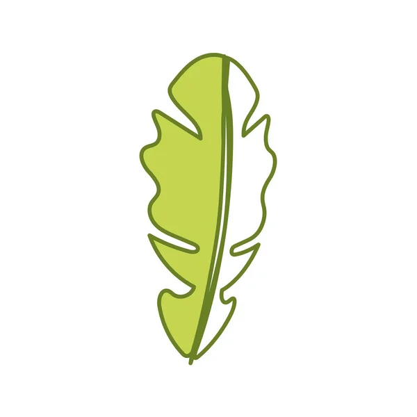 Belle Feuille Des Plantes Exotiques Dans Forêt Illustration Vectorielle — Image vectorielle