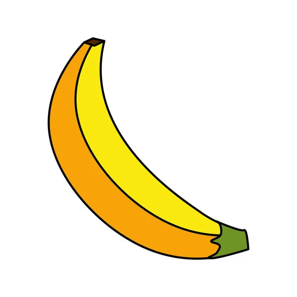 Bananowy Ilustracja Owoc Plon Projekt Wektor — Wektor stockowy