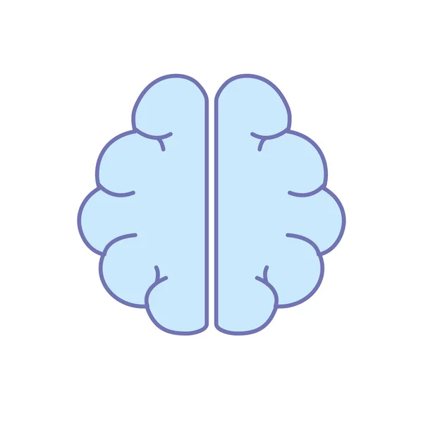 Anatomy Brain Imagination Memory Inspiration Vector Illustration — 스톡 벡터