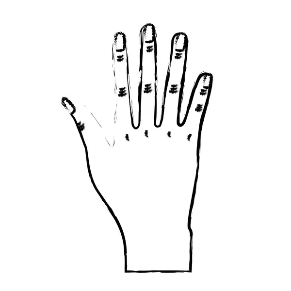 Figur Schöne Hand Mit Allen Fingern Und Nägeln Vektorillustration — Stockvektor