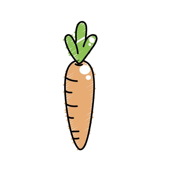 Здорова Морква Веганській Їжі Органічна Векторна Ілюстрація — стоковий вектор
