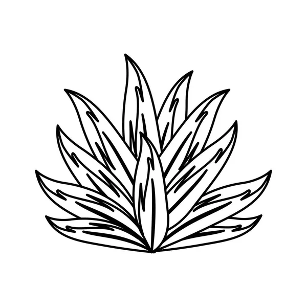 Γραμμή Τροπικό Φυτό Φύλλα Στο Βοτανικό Δάσος Εικονογράφηση Διάνυσμα — Διανυσματικό Αρχείο