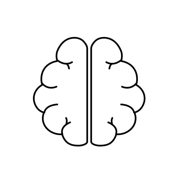 Line Anatomy Brain Imagination Memory Inspiration Vector Illustration — Stock Vector