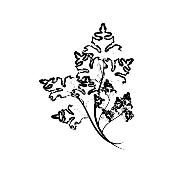 Край Свежих Листьев Лука Растения Здоровой Пищи Векторные Иллюстрации — стоковый вектор