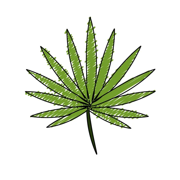 Beautiful Leaf Exotic Plants Forest Vector Illustration — Stok Vektör