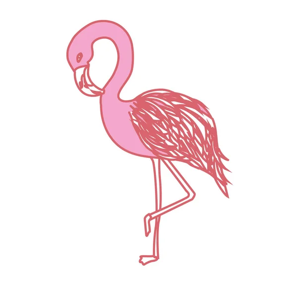 Szépség Egzotikus Flamingó Madár Állat Vektor Illusztráció — Stock Vector