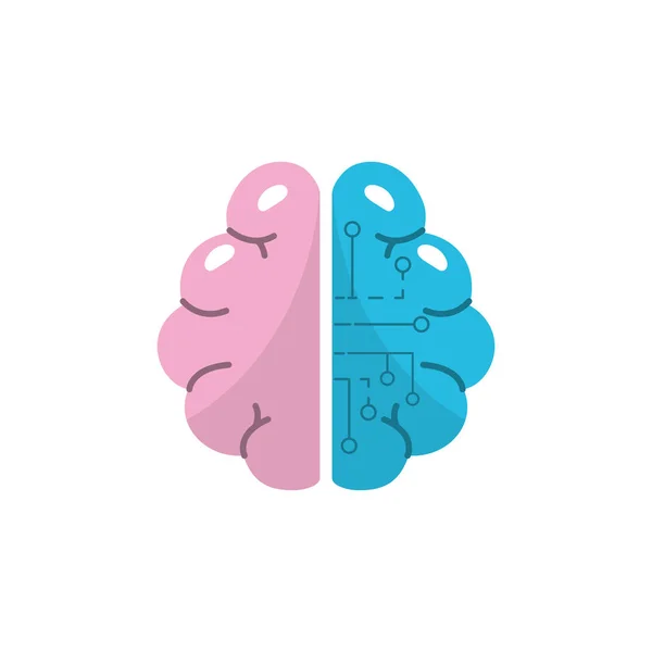 Anatomía Cerebro Con Circuitos Conexión Digital Vector Ilustración — Vector de stock