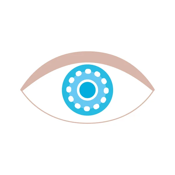 Anatomia Człowieka Oko Optyczne Wektor Graficzny Ilustracja — Wektor stockowy