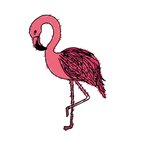 Krása Exotické Ptáček Plameňák Vektorová Ilustrace — Stockový vektor