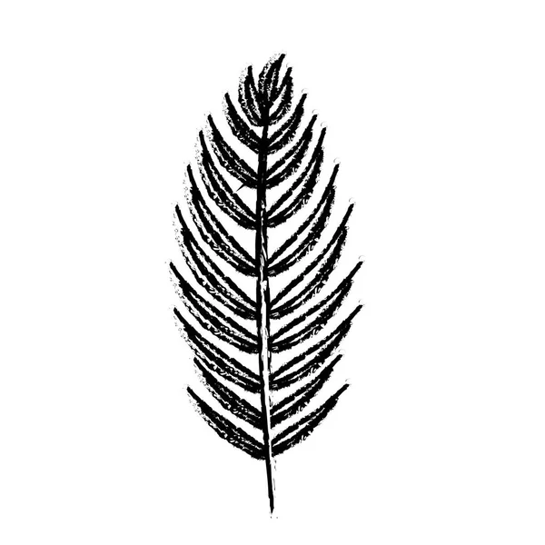 Figure Branche Tropicale Feuilles Plante Dessin Vectoriel Illustration — Image vectorielle