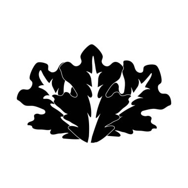 kontur lezzetli yaprak marul organ yiyecek, vektör çizim