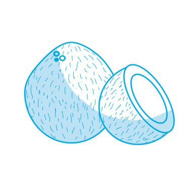 siluet coconot meyve bir dilim vektör çizim ile