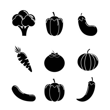 conotur sebze arka plan kutsal kişilerin resmi, vektör çizim tasarım