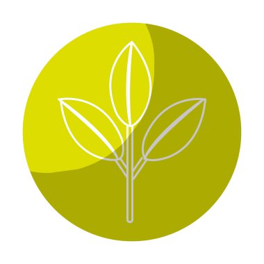 etiket güzel ekoloji bitki yaprakları, vektör çizim tasarım ile