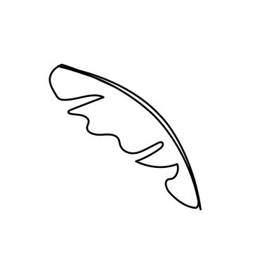 line beautiful leaf of the exotic plants in the forest, vector illustration