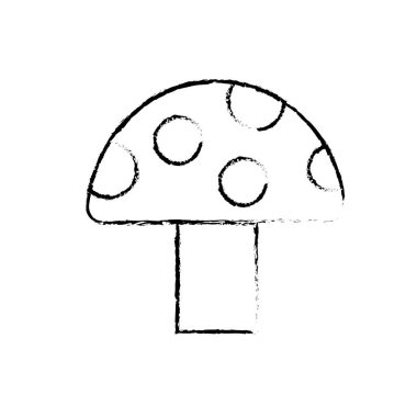 Şekil sebze fungust doğal ve organ bitki illüstrasyon vektör