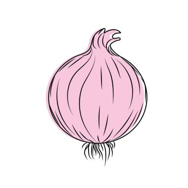 taze soğan doğal bitkisel beslenme vektör çizim