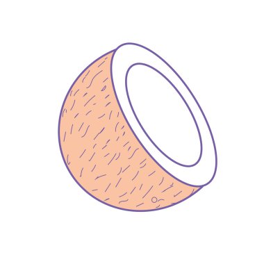 meyve yemek için lezzetli dilim Hindistan cevizi illüstrasyon vektör