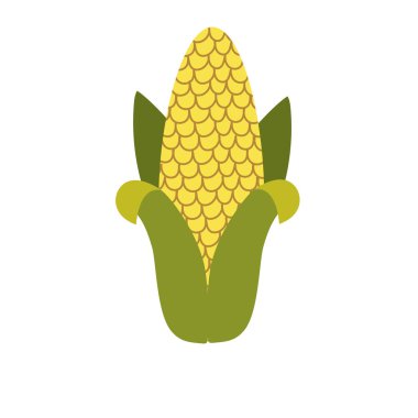 Organik gıda vektör çizim yemek için lezzetli koçanı