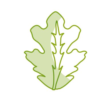 silhouette delicious leaf lettuce organ food, vector illustration