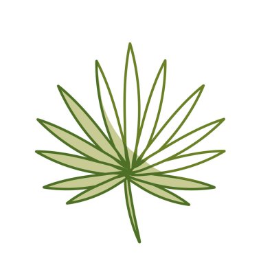 silhouette beautiful leaf of the exotic plants in the forest, vector illustration