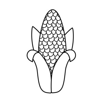 Organik gıda vektör çizim yemek için lezzetli koçanı çizgi