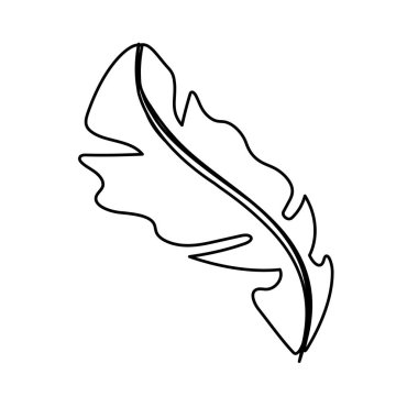 line beautiful leaf of the exotic plants in the forest, vector illustration