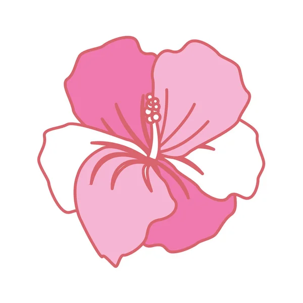 美丽的热带花卉植物与花瓣 矢量插图 — 图库矢量图片