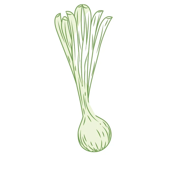 Σιλουέτα Μακρά Κρεμμυδάκι Φρέσκο Φυτό Λαχανικών Διανυσματικά Εικονογράφηση — Διανυσματικό Αρχείο