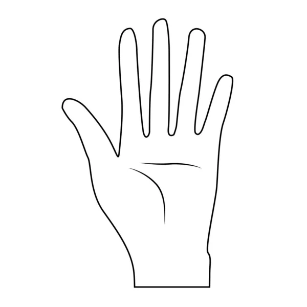 Linie Schöne Hand Mit Allen Fingern Und Handflächen Vektorillustration — Stockvektor