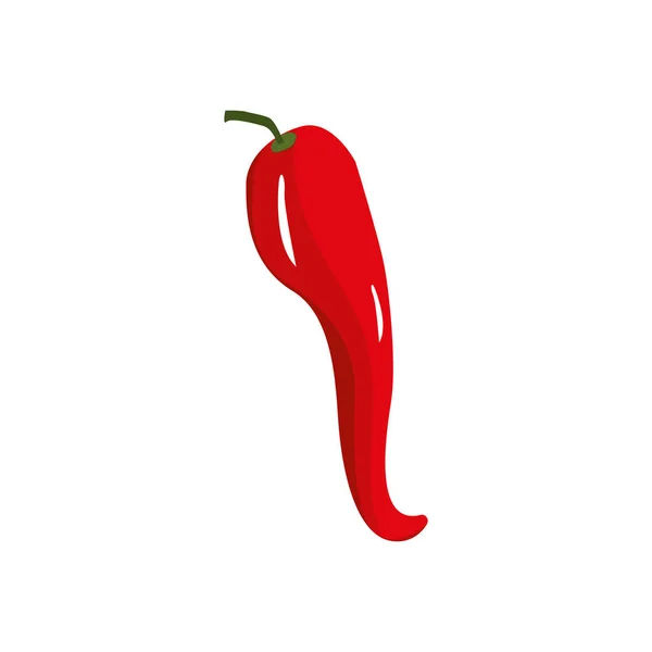 Fresh Chilli Pepper Organ Food Vector Illustration — Stock Vector