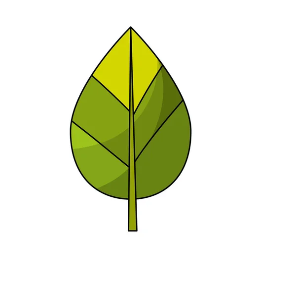 Botánica Natural Hoja Planta Tropical Vector Ilustración — Archivo Imágenes Vectoriales