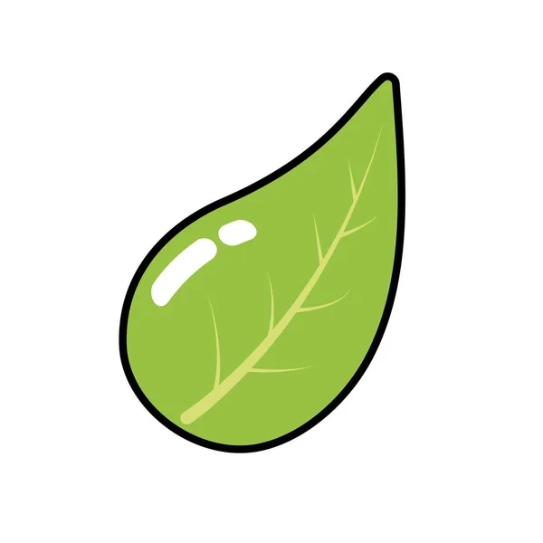 Hoja Natural Planta Botánica Exótica Vector Ilustración — Archivo Imágenes Vectoriales