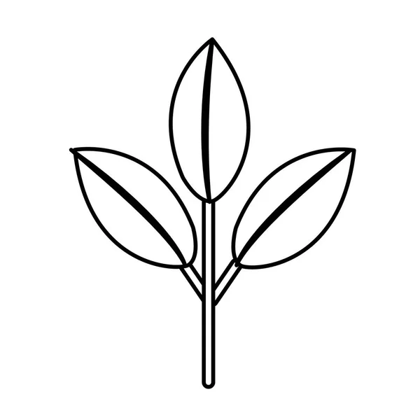 Lijn Mooi Ecologie Plant Met Bladeren Vector Illustratie Ontwerp — Stockvector