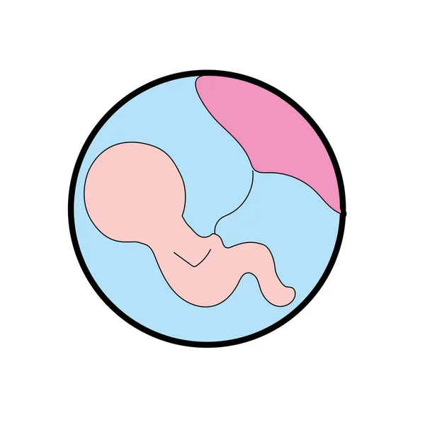 Baby Mit Nabelschnur Uterus Der Mutter Abbildung — Stockvektor