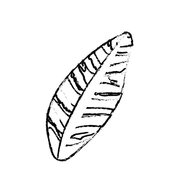 Line Beautiful Leaf Exotic Plants Forest Vector Illustration — Stok Vektör