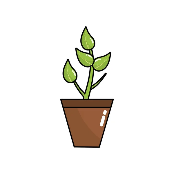 Natürliche Pflanze Mit Blättern Und Ökologischer Vektordarstellung — Stockvektor