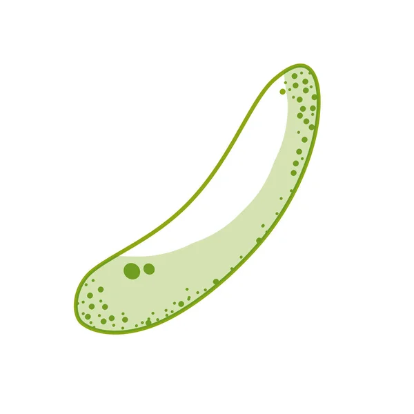 Pegatina Verduras Frescas Pepino Órgano Alimentos Vector Ilustración — Vector de stock