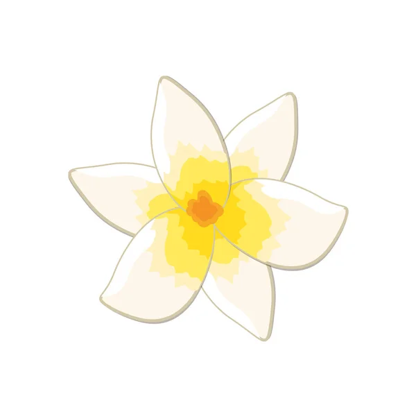 花びらと美しく熱帯の花の植物 ベクトルイラスト — ストックベクタ