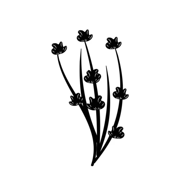 Contour Beauty Herb Plant Organic Ingredients Vector Illustration — Διανυσματικό Αρχείο