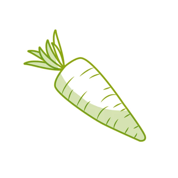 Silueta Fresca Zanahoria Órgano Vegetal Alimentos Vector Ilustración — Vector de stock